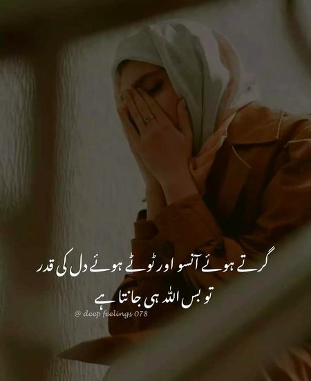 ..Beshk..❤️☘️❤️☘️❤️