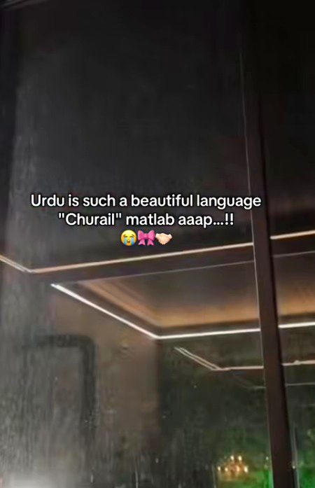 Memes & Satire image