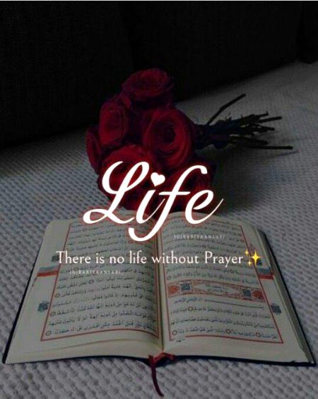 Islamic Quotes image