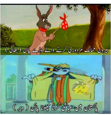 Memes & Satire image