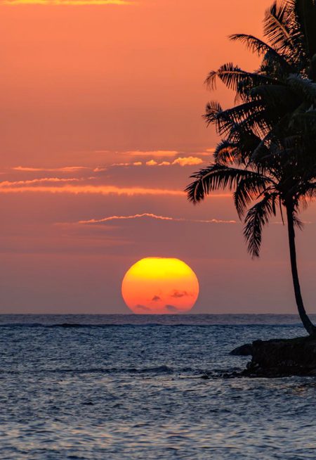 Beautiful Nature image