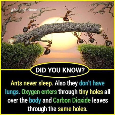 Interesting Posts image