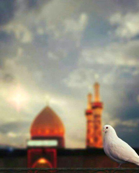 Beautiful Nature image