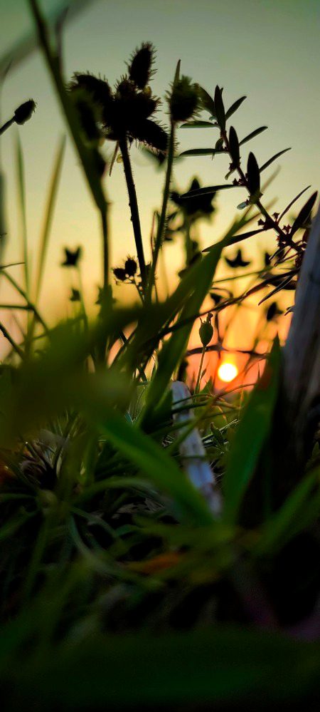 Beautiful Nature image
