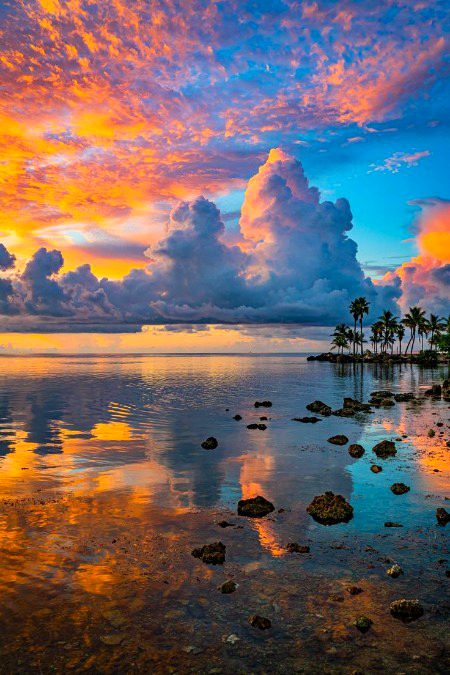 Beautiful Nature image