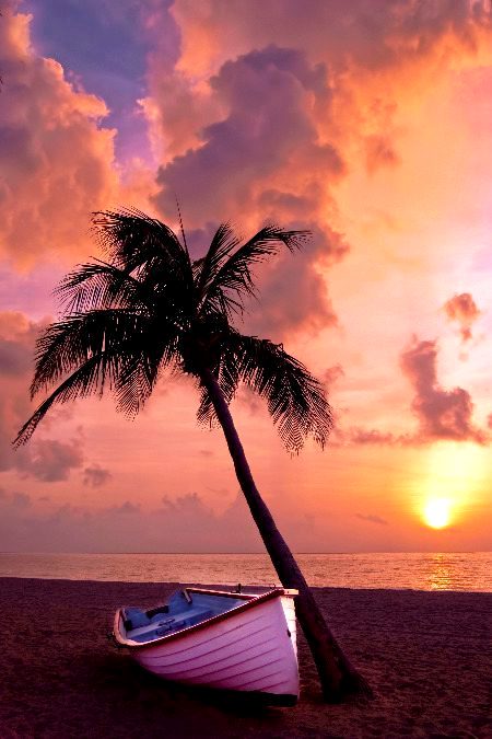 Beautiful Nature image