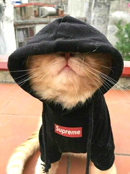 Beautiful Nature image