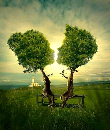 Beautiful Nature image