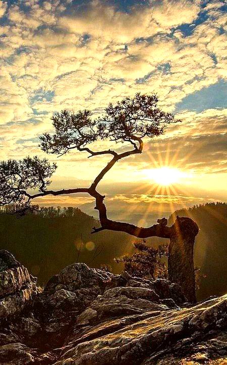 Beautiful Nature image