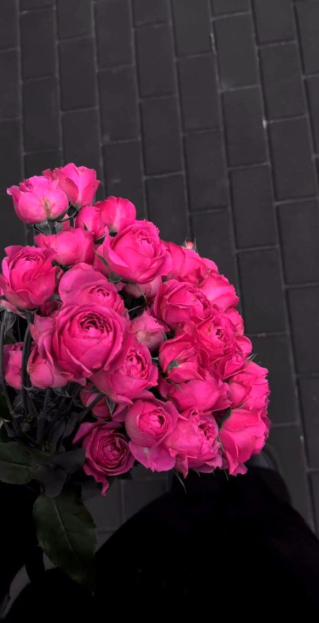 Beautiful Nature image