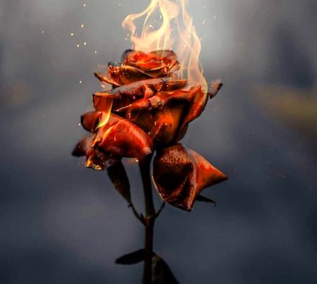Digital Art image