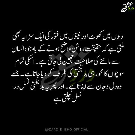 🌹 merijan-16 🌹