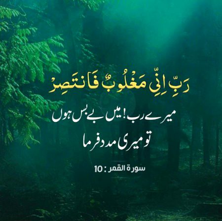 Asalam o alaikum  Amin