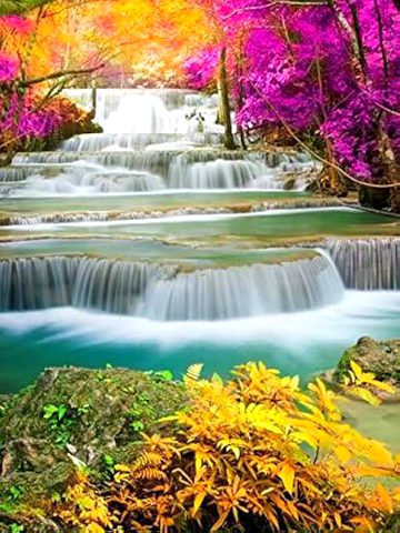 Nature beautiful 🤩❤️