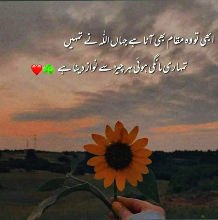 Islamic Quotes image