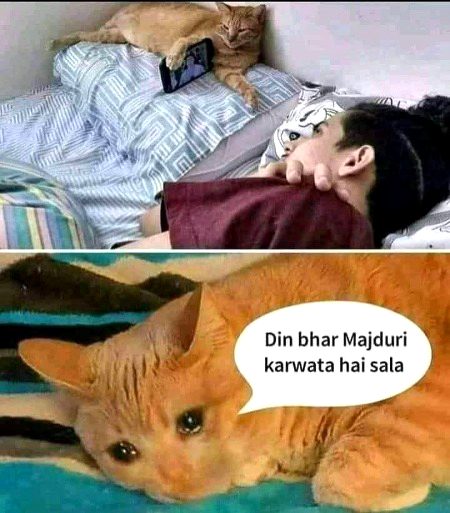 Memes & Satire image