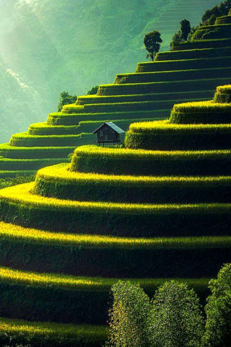 Beautiful Nature image