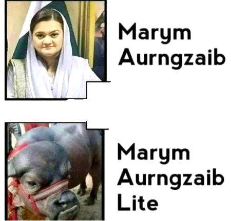 Memes & Satire image