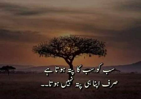 میرے چہرے پہ تیرے نقش ابھر آتے ہیں
اس سے بڑھ کر تیرے ہونے کی شہادت کیا ہے-mushk