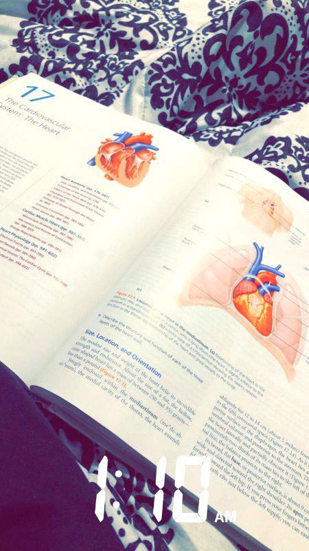 StUdy nOw LoVe LAtEr💯