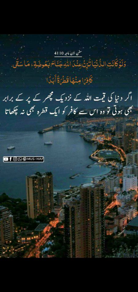 Gbhfgbhyggb bhfgjjggb