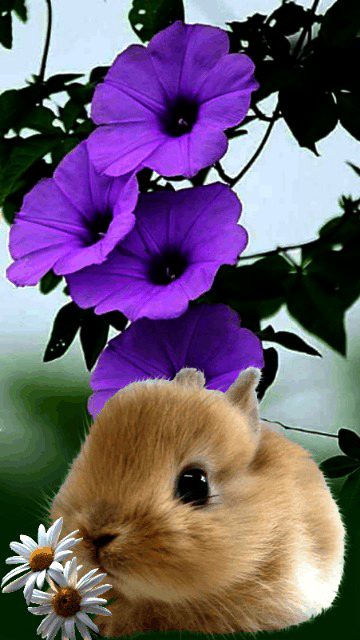 Beautiful Nature image