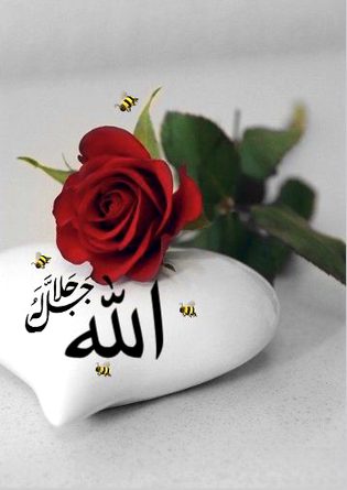 Islamic Quotes image