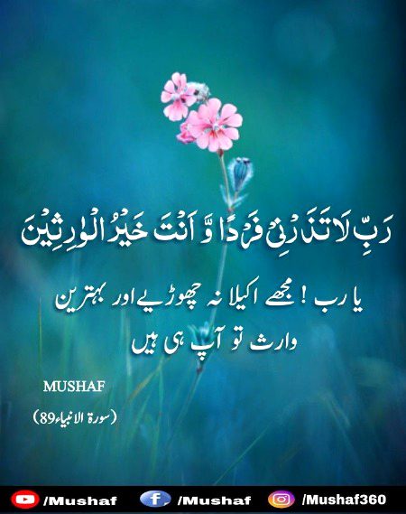 Islamic Quotes image