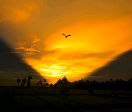 Beautiful Nature image