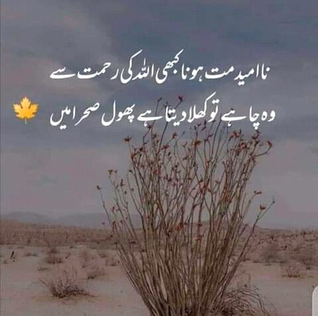 Islamic Quotes image