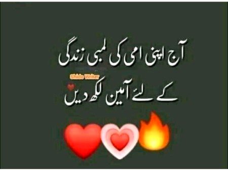 💯🌹🌹🥰🥰🥰