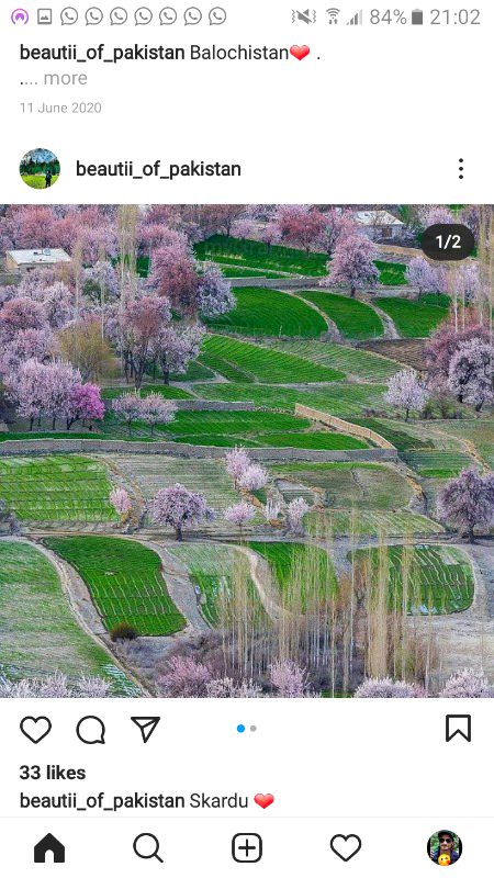 Beautiful Nature image