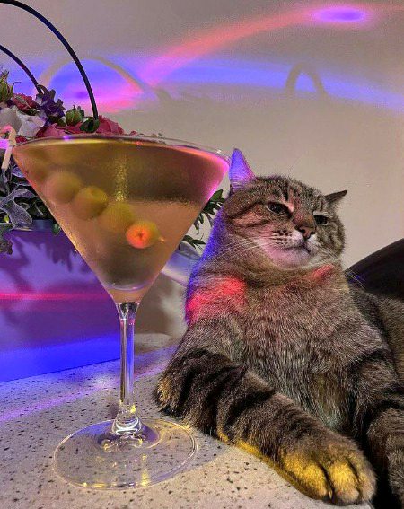 Beautiful Nature image