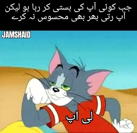 Memes & Satire image