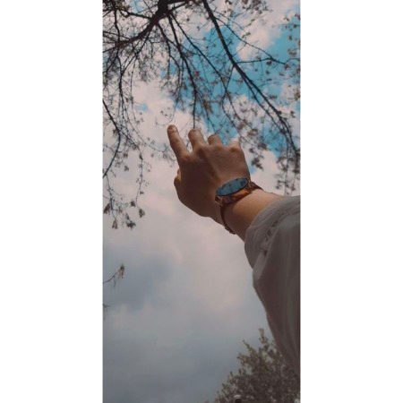 Beautiful Nature image