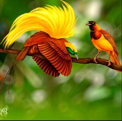 Beautiful Nature image