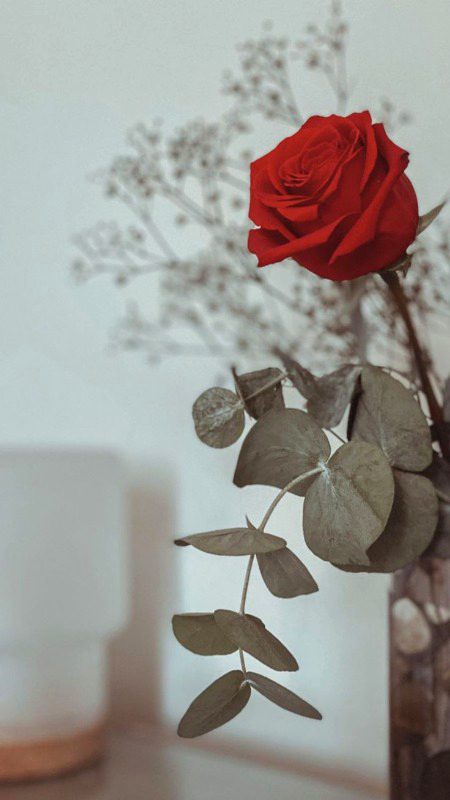 Beautiful Nature image