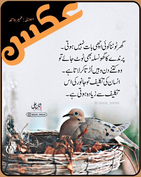 Romantic Novels image