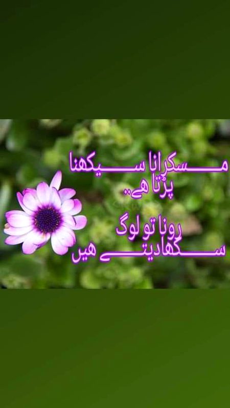 bilkul 🌹🍀🌹🍀🌹🍀