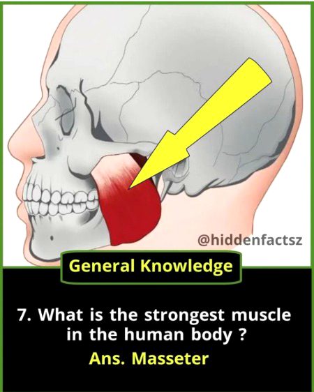 Tips for Students image