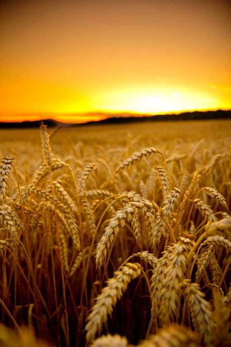Beautiful Nature image