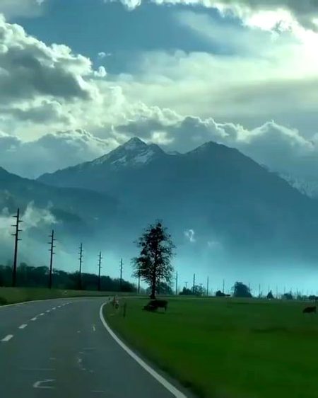 Beautiful Nature image