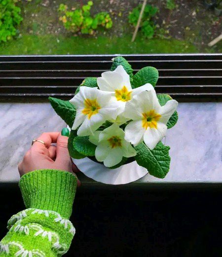 Beautiful Nature image