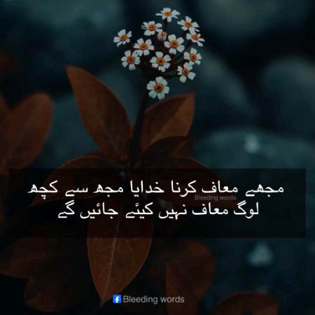 پوسٹ بائے قربان