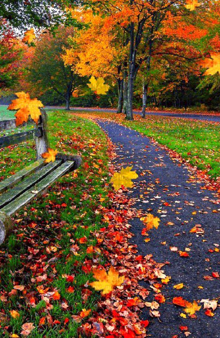 Beautiful Nature image