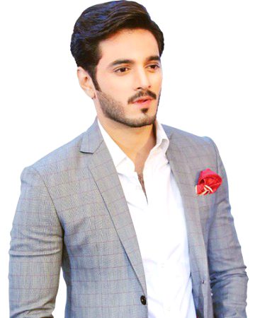 Pakistani Celebs image