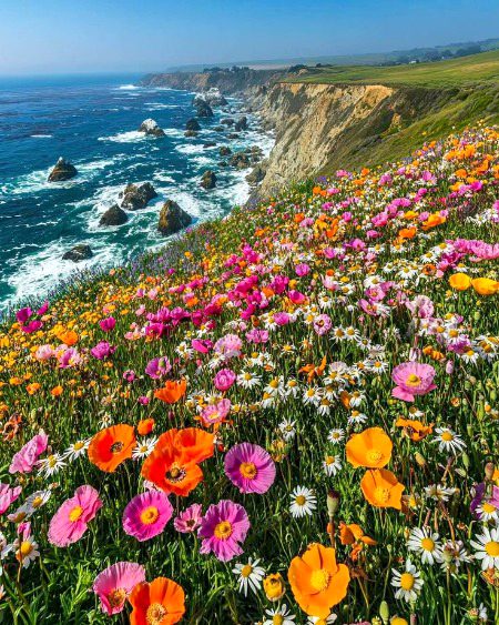 Beautiful Nature image