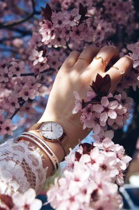 Beautiful Nature image