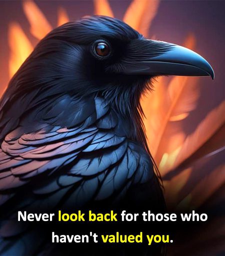 Attitude Quotes image