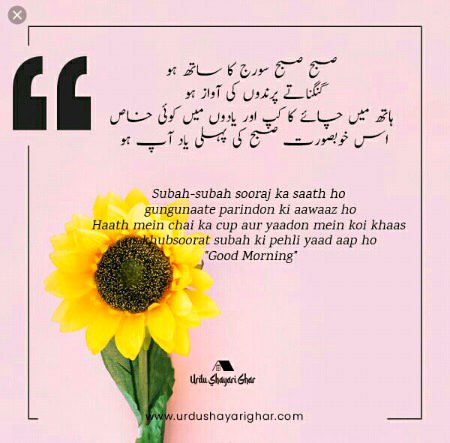 Attitude quoets